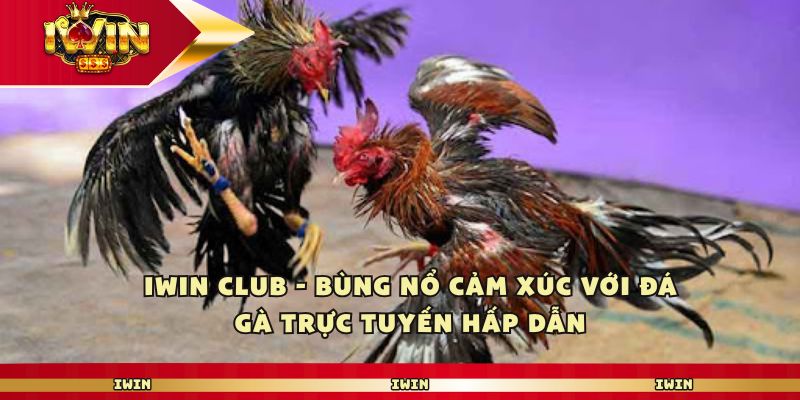 Khám Phá Thế Giới Đầy Hấp Dẫn Của Sex Ngưng Đọng Thời Gian Trải Nghiệm Game Đỉnh Cao